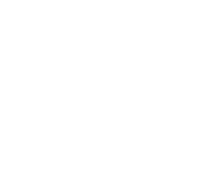 Nest Lux